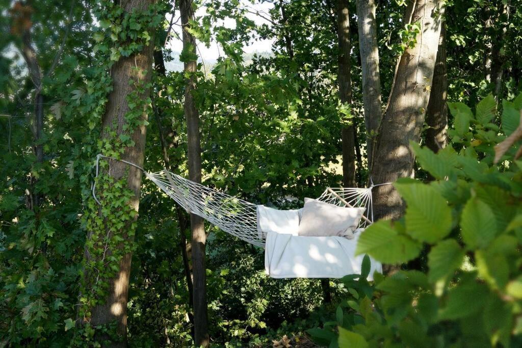 Wohnung Am Fusse Des Schwarzwalds Oberkirch  Bagian luar foto